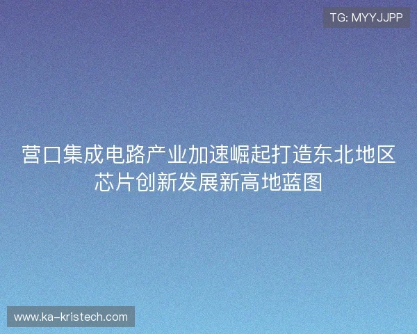 营口集成电路产业加速崛起打造东北地区芯片创新发展新高地蓝图